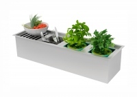 CANAL ORGANIZADOR ÚMIDO 600 - DE BACCO